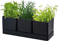 D'vine Dev Herb Garden Planter Set, Plastic Plant Pots with Drainage and Saucer, Indoor Succulent Cactus Vegetable Pot for Windowsill, Garden Balcony, Black, Set of 1, 76-V-B-1