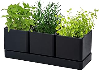 D'vine Dev Herb Garden Planter Set, Plastic Plant Pots with Drainage and Saucer, Indoor Succulent Cactus Vegetable Pot for Windowsill, Garden Balcony, Black, Set of 1, 76-V-B-1
