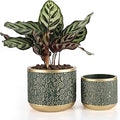 6 +4.4 Inch Cement Planter Decorative Pots with Drainage Hole for All House Plants, Succulents, Flowers, and Cactus (Green)