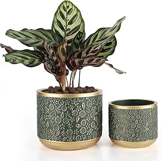 6 +4.4 Inch Cement Planter Decorative Pots with Drainage Hole for All House Plants, Succulents, Flowers, and Cactus (Green)
