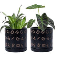 D'vine Dev Set of 2 Ceramic Planter Pots with Drainage Hole and Saucer, 6 Inch Plant Pots for Plants Indoor Houseplants, Black, 99-Z-G-2-Y