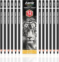Aenir Charcoal Pencils for drawing, Set of 12, Charcoal Drawing Pencils (S-Soft, Soft, Medium, Hard), Art Supplies for Artist, Sketching, Shading