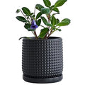 D'vine Dev 6 Inch Ceramic Beaded Stoneware Planter Pot - Flower Pot with Drainage Holes and Saucers for Indoor Succulent Plants or Flowers, Ebony Matte, 27-C-X-6