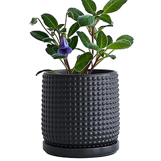 D'vine Dev 6 Inch Ceramic Beaded Stoneware Planter Pot - Flower Pot with Drainage Holes and Saucers for Indoor Succulent Plants or Flowers, Ebony Matte, 27-C-X-6