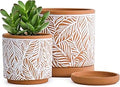 D'vine Dev Set of 2 Terracotta Pots, Leaf Pattern Planter Pot, 4 Inch and 6 Inch, Pot with Drainage Hole and Saucer, Terracotta/White, 31-958-T-1