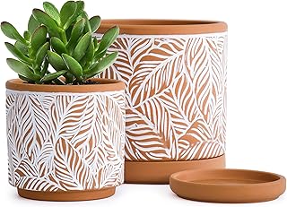 D'vine Dev Set of 2 Terracotta Pots, Leaf Pattern Planter Pot, 4 Inch and 6 Inch, Pot with Drainage Hole and Saucer, Terracotta/White, 31-958-T-1