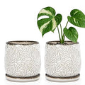 D'vine Dev 5 Inch Embossed Leaves Stoneware Planter Pot with Drainage Hole and Saucer, Smoked White, Set of 2, 27-F-V-1