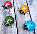 Metal Garden Wall Art Decorative Set of 4 Cute Ladybugs Outdoor Wall Sculptures