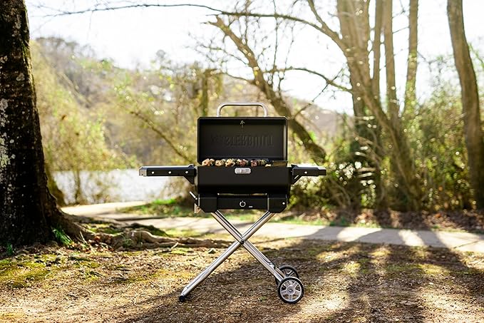 Masterbuilt® Electric Portable Charcoal Grill and Smoker with SteadyTemp Analog Temperature Control, Collapsible Cart and 200 Cooking Square Inches in Black, Model MB20040722