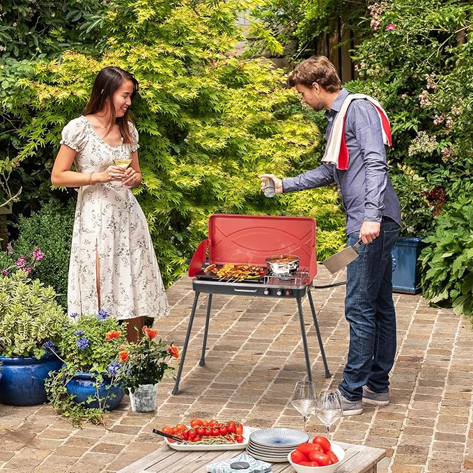2-Burner Gas Camping Stove, Portable BBQ Grill with Detachable Legs, Roast Grill & 3-Sided Wind Screen, 22,000 Total BTUs of Power, Outdoor Propane Burner Grill Stove for Picnic (Red)
