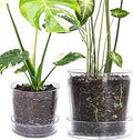 Phoenix Vine 6.5 Inch 8 Inch Clear Acrylic Houseplants Planter Pot with Tray, Orchid Pot with Drainage Holes, Deep Saucer for Bottom Watering, Transparent Containers for Indoor Plants, Herbs, 91-B-X
