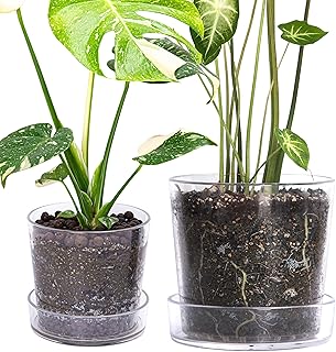 Phoenix Vine 6.5 Inch 8 Inch Clear Acrylic Houseplants Planter Pot with Tray, Orchid Pot with Drainage Holes, Deep Saucer for Bottom Watering, Transparent Containers for Indoor Plants, Herbs, 91-B-X