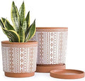 D'vine Dev Set of 2 Terracotta Pots, 6.5 Inch & 8.2 Inch, Planter Pots for Plants with Drainage Holes and Saucers, Terracotta/White, Medium, 34-958-A-1