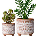 D'vine Dev Set of 2 Terracotta Planter Pots, 4 Inch & 6 Inch, Design Plants Pot with Drainage Hole, Terracotta Bloom, Terracotta/White, 31-953-F-1