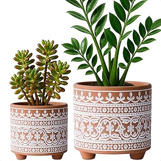 D'vine Dev Set of 2 Terracotta Planter Pots, 4 Inch & 6 Inch, Design Plants Pot with Drainage Hole, Terracotta Bloom, Terracotta/White, 31-953-F-1