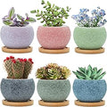3 inch Ceramic pots for Plants, Small Succulent Pots Set with Drainage, 6 Pack Flower Pot for Indoor Plant, Planters for Little or mini Cactus 2 inches Plants