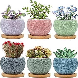 3 inch Ceramic pots for Plants, Small Succulent Pots Set with Drainage, 6 Pack Flower Pot for Indoor Plant, Planters for Little or mini Cactus 2 inches Plants