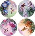 CoasterStone Absorbent Coasters, Hummingbird Assortment, 4-1/4-Inch, Set of 4