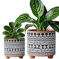 D'vine Dev Set of 2 Terracotta Planter Pots, 4 Inch & 6 Inch, Design Plants Pot with Drainage Hole, Midnight Lace, Terracotta/Black, 31-953-F-2