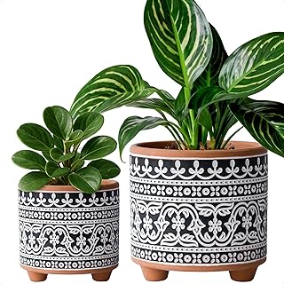 D'vine Dev Set of 2 Terracotta Planter Pots, 4 Inch & 6 Inch, Design Plants Pot with Drainage Hole, Midnight Lace, Terracotta/Black, 31-953-F-2